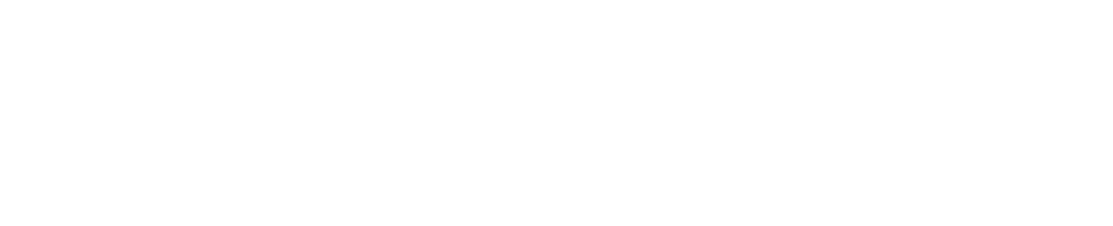 Hudson Footer Logo